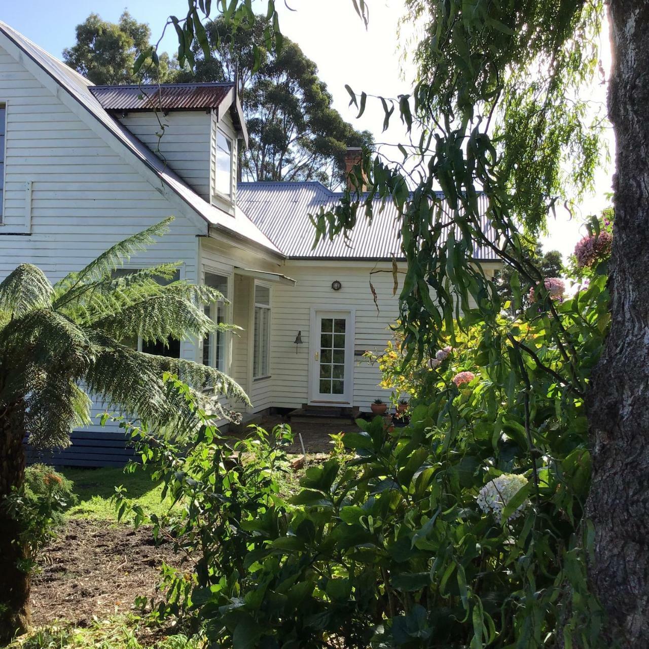 Harrison House Bed & Breakfast Strahan Bagian luar foto