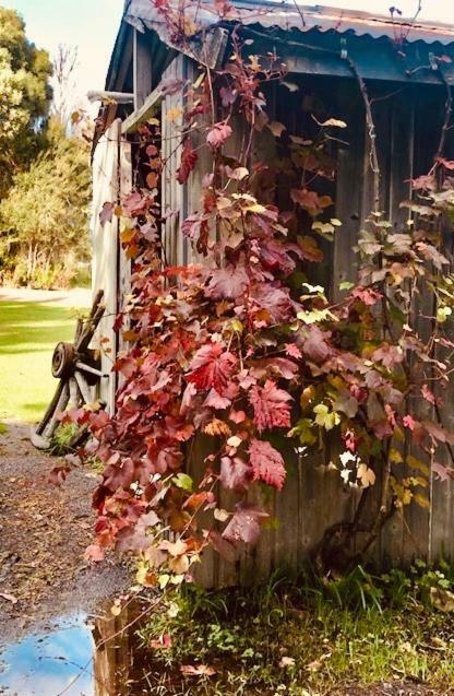 Harrison House Bed & Breakfast Strahan Bagian luar foto
